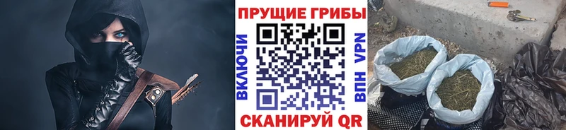 Псилоцибиновые грибы прущие грибы Сретенск