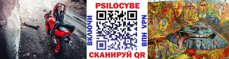 Псилоцибиновые грибы Psilocybe закладка Сретенск